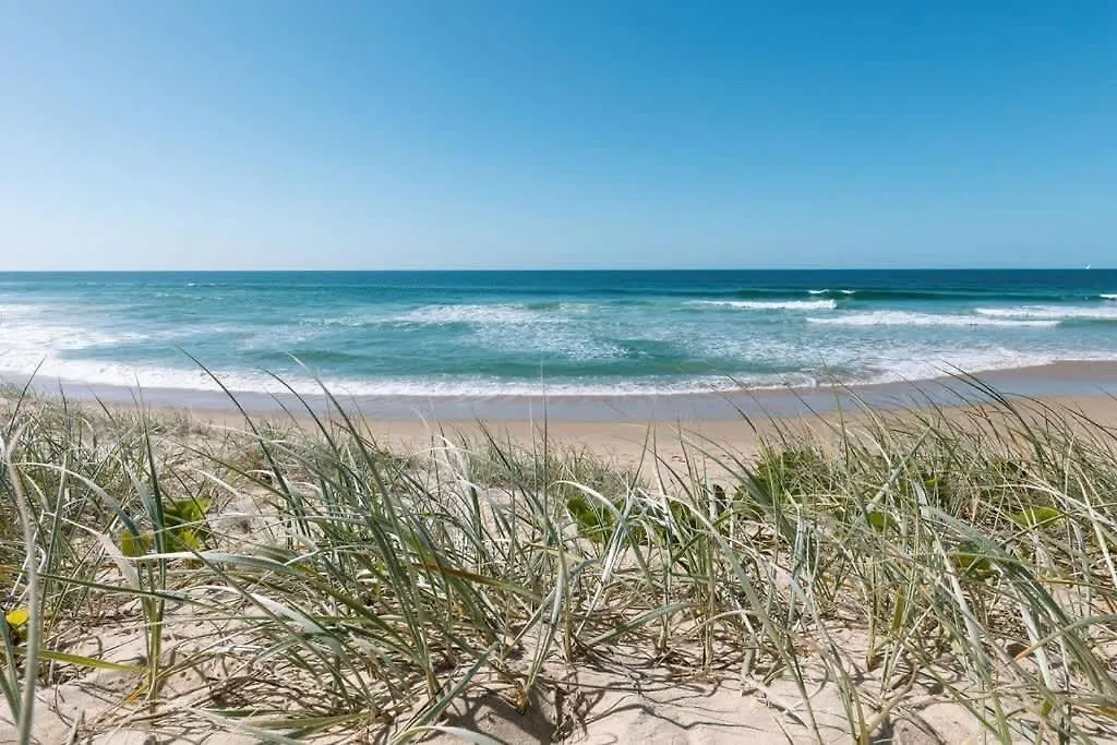 Coastal Charm - Pet & Family Friendly Apartment Marcoola Australia